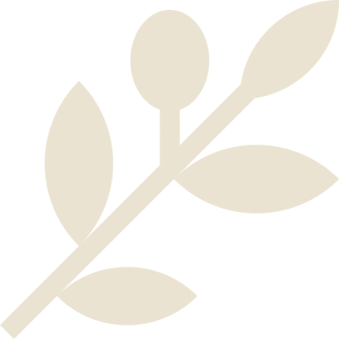 005-olive-branch-480x480