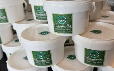 FLEUR DE SEL – SALTBLOMMA